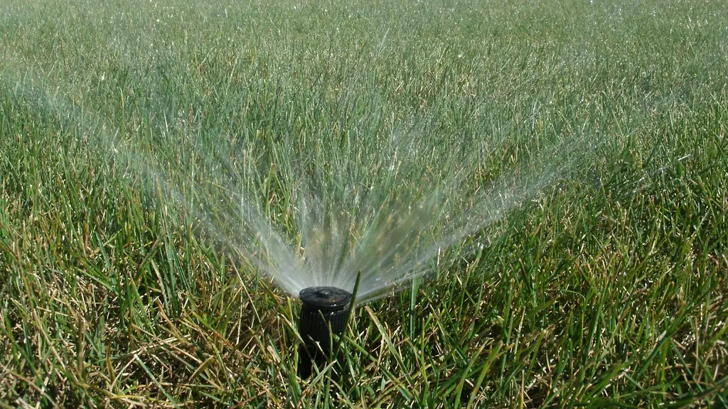 Pop-up spray head running in green turf